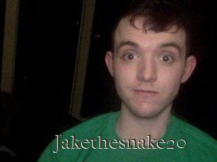 Jakethesnake20