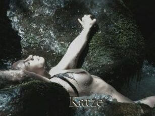 Katze
