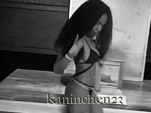 Kaninchen23