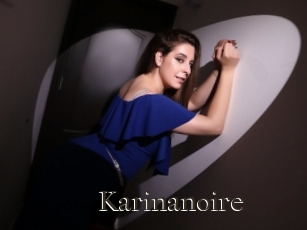 Karinanoire
