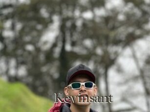 Kevinsant