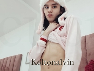 Koltonalvin
