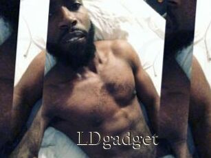 LDgadget