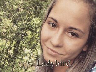 Ladybird