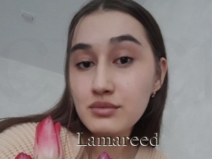 Lamareed