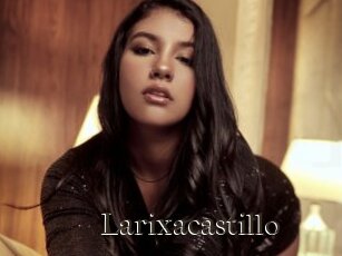Larixacastillo