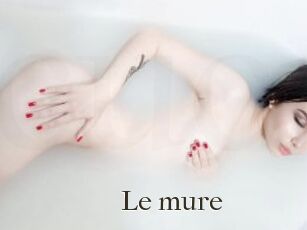 Le_mure