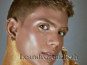 Leandrogonzlezh