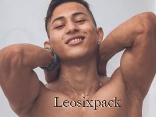 Leosixpack