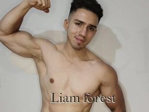 Liam_forest