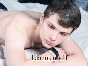 Liamamell
