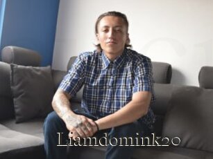 Liamdomink20