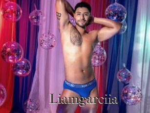 Liamgarciia
