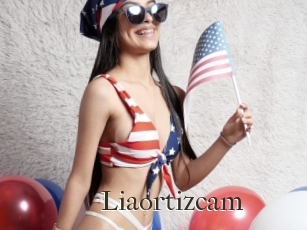 Liaortizcam