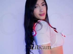 Libcam