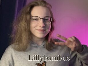 Lillybambus