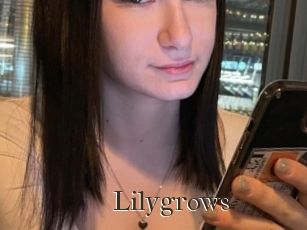 Lilygrows