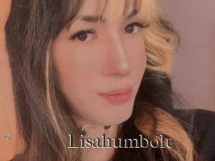 Lisahumbolt