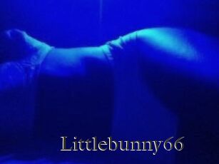 Littlebunny66