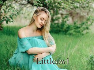 Littleowl