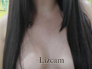 Lizcam