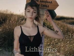 Lizhkamics