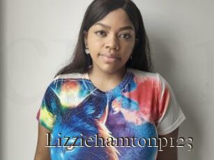 Lizziehamtonp123