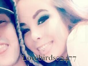 Lovebirds02477