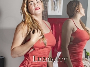 Luzmerry