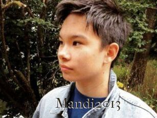 Mandi2013