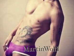 Martin_Wolfl