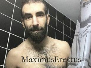 MaximusErectus