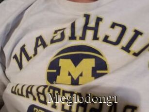 Meglodong1