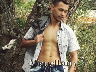 MiguelLarry