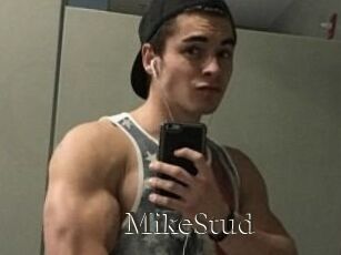 MikeStud