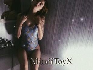 MindiToyX