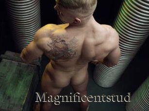 Magnificentstud