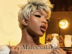 malecxalahia Cum crazy amateurs
