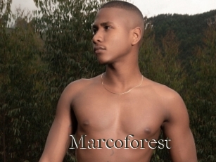 Marcoforest