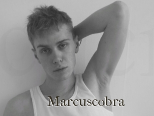 Marcuscobra