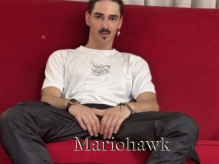 Mariohawk