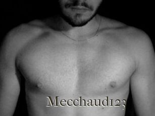 Mecchaud123