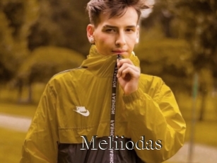 Meliiodas