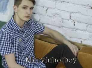 Mervinhotboy