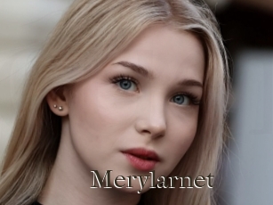Merylarnet