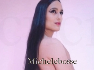 Michelebosse