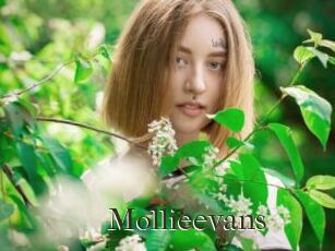 Mollieevans