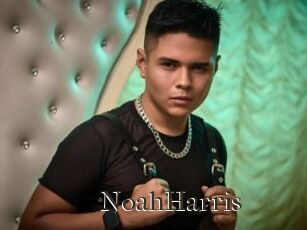 NoahHarris