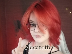 necatoffee Cum crazy amateurs