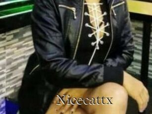 Nicecattx
